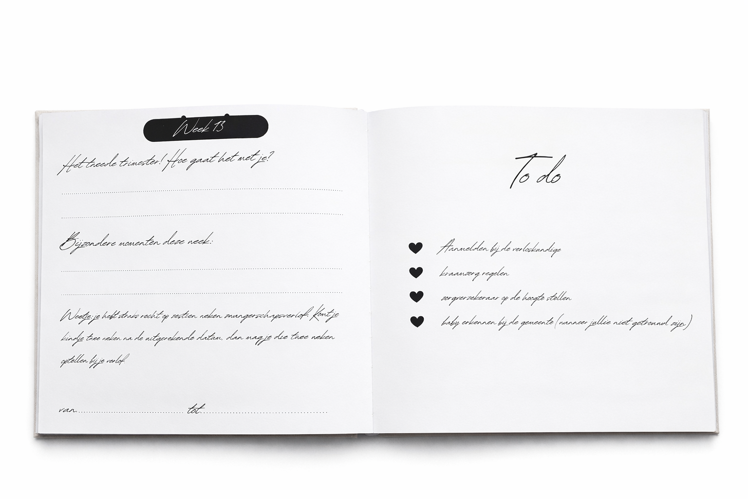Zwangerschapsinvulboek Studio Claire